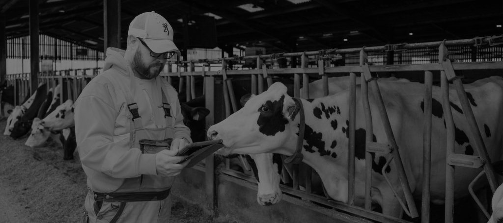 Want to see how CattleEye works?