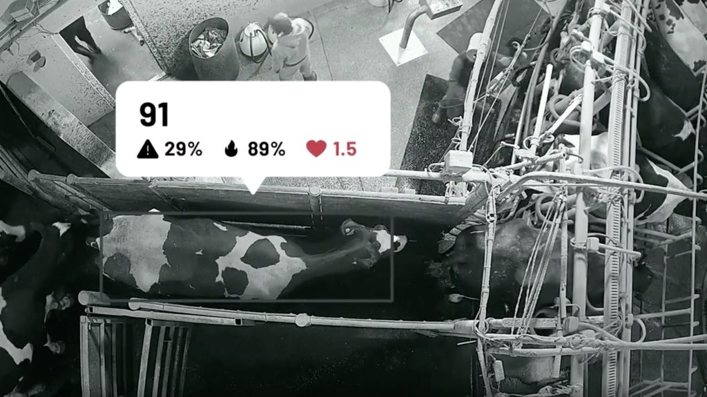 The answer to the ‘You Can’t See Me’ dilemma